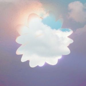 Meet your Posher, Mykenzie